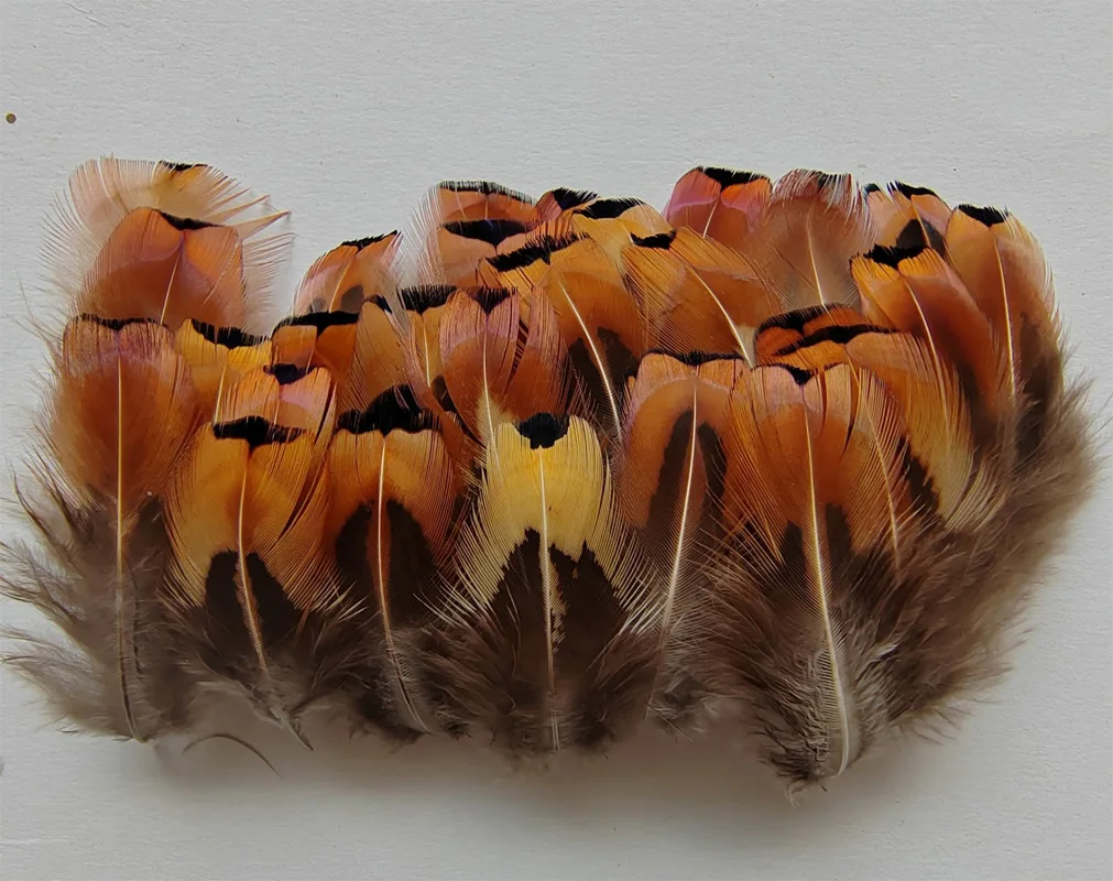 

200Pcs/Lot! 4-6cm Natural Ringneck Pheasant Feathers,aplicaciones para ropa,frenzies for sewing,plumas,Decor,украшения