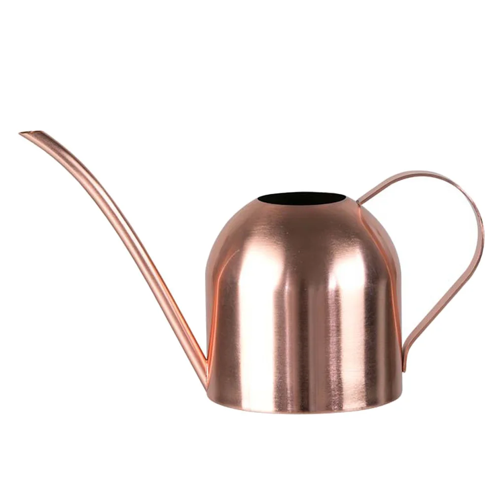 

1000ML Stainless Steel Long Mouth Watering Pot Green Plant Watering Can Gardening Tool Kettle,Silver