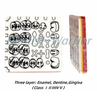 Tablero de agujeros de preparación de cavidades dentales, modelo de práctica de Dentin Shooch, plantilla de relleno