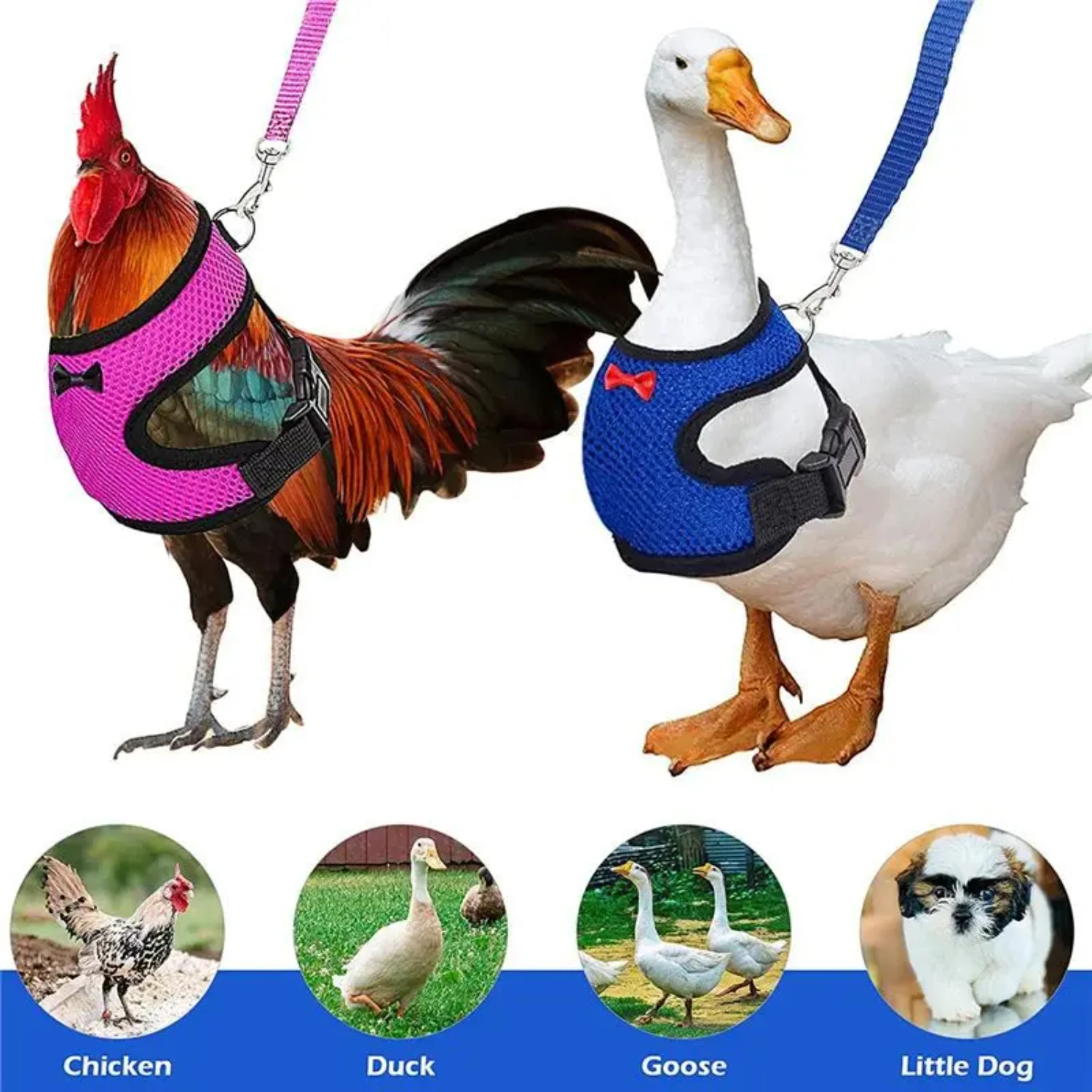 Pet Adjustable Harness Leash  Chicken Puppy Comfortable Breathable Pet Vest  Small Dogs Duck Goose Training Accessories E collar