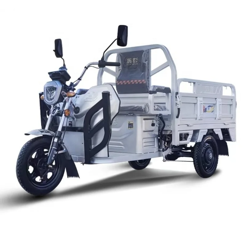 Electric Tricycle With Automatic Hydraulic Lifting System Powerful 1200W Big Tire Electric Cargo Trike