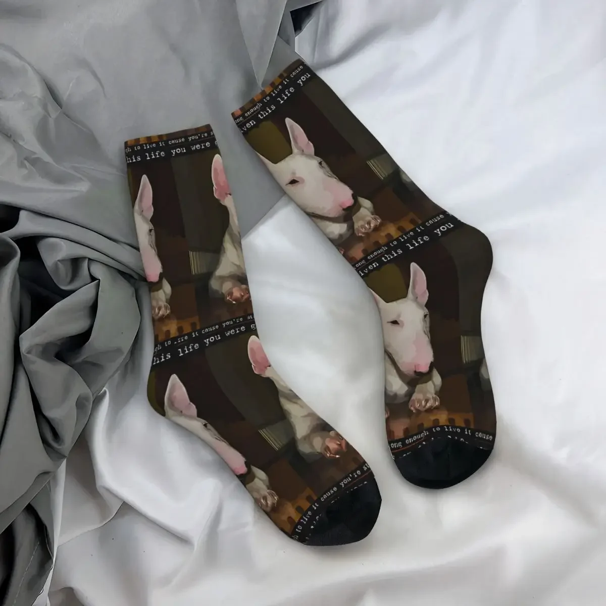 Funny Crazy Sock for Men Humor Vintage Bull Terrier Pet Dog Quality Pattern Printed Crew Sock Novelty Gift