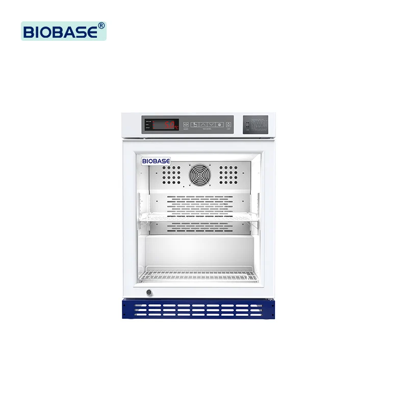 Geladeira portátil mini geladeira cosméticos carro geladeira freezer ímã beleza mini geladeiras preço