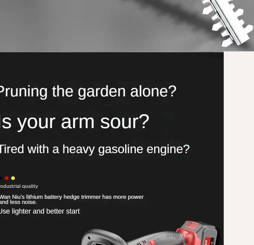 110V/220V Professio… - image