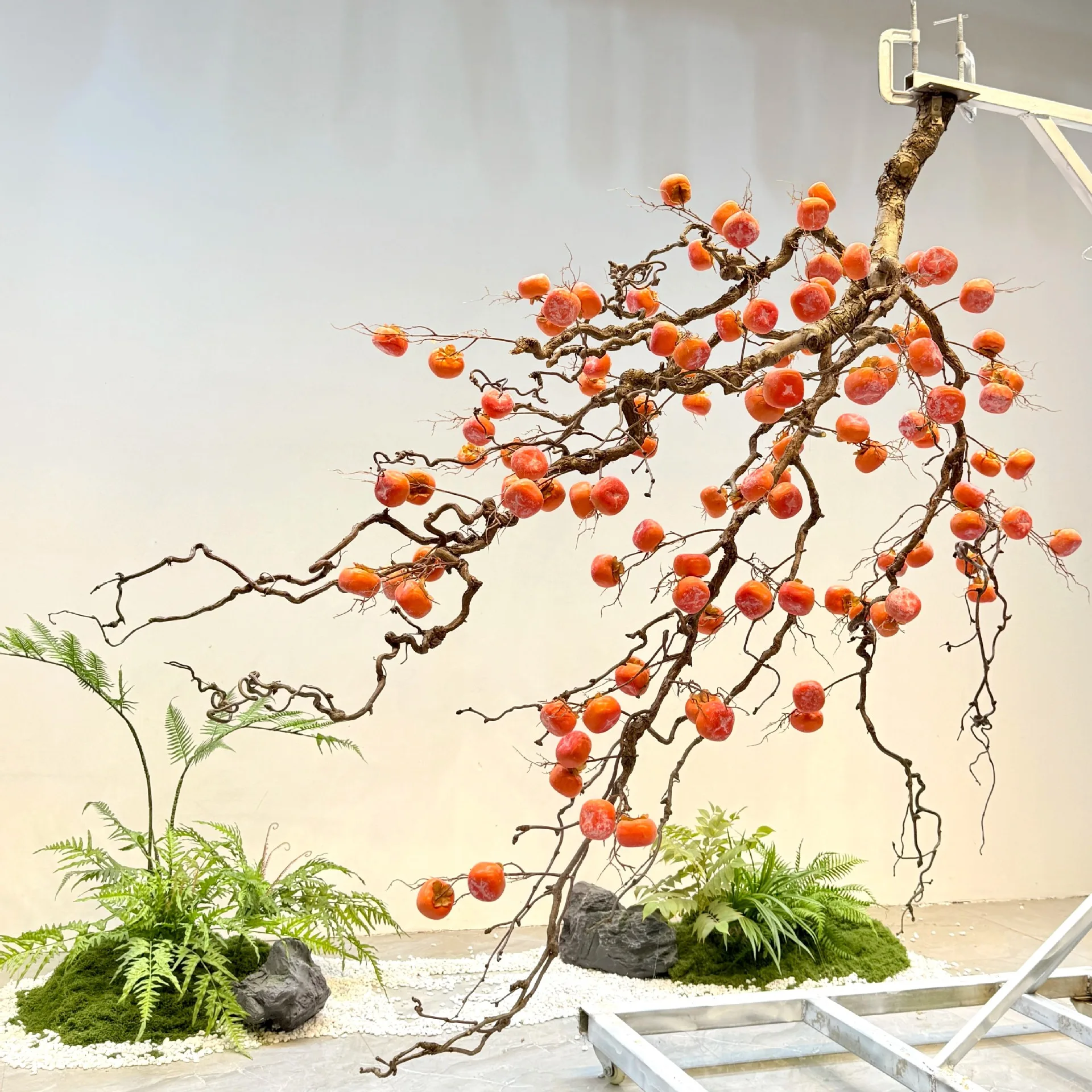 Simulated persimmon tree hangi - đánh giá và giá Bonsai Garden Wall