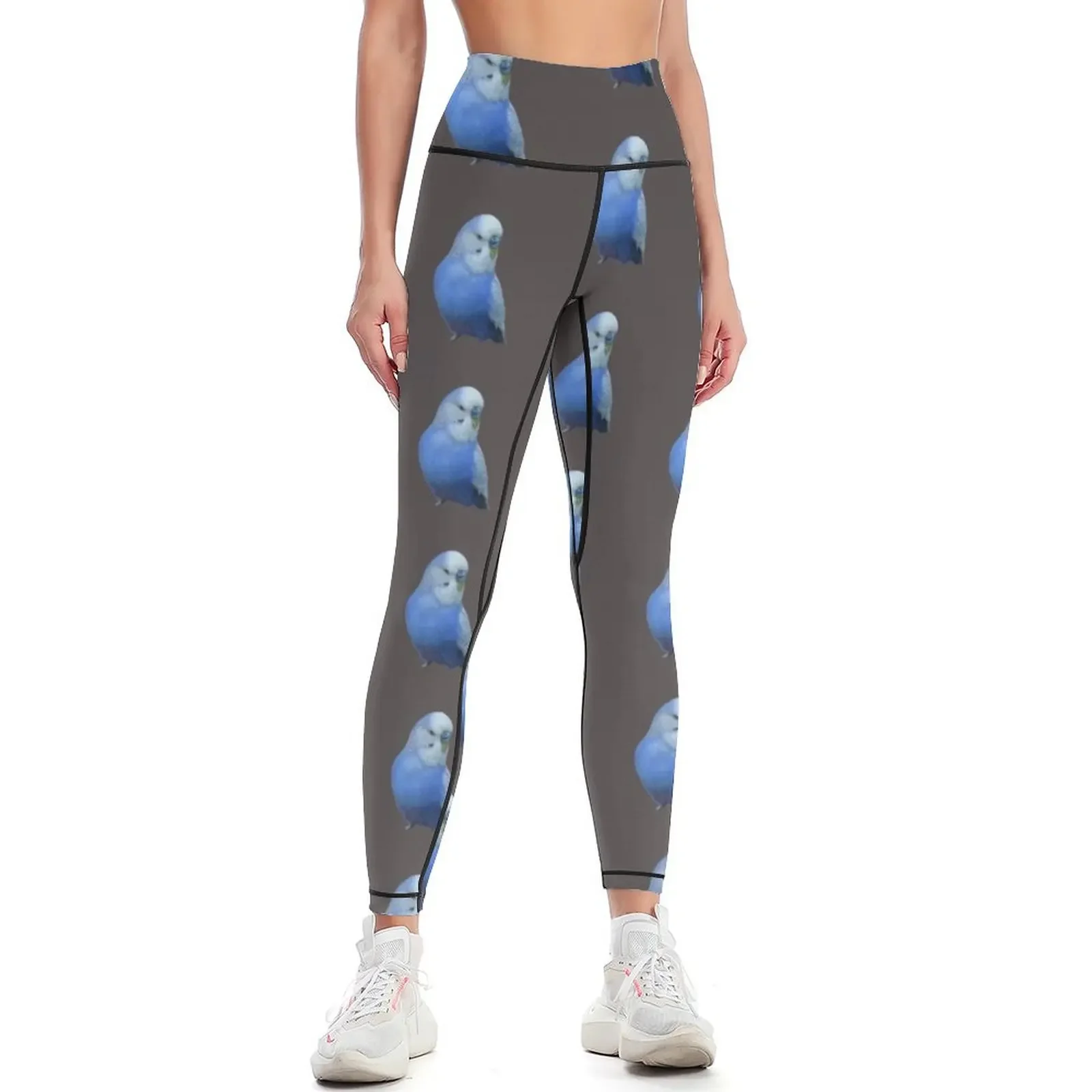 

Blue Budgie Parakeet Lovers Design Leggings gym sportswear woman gym top Pants sport sport pants Womens Leggings