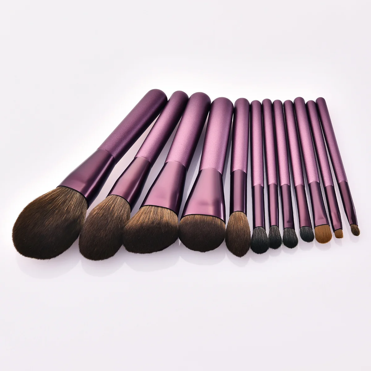 

12Pcs Cosmetics Makeup Brush Set Wooden Handle Soft Nylon Bristles Professional Powder Blush Brush Kit for Women Ladies Daily