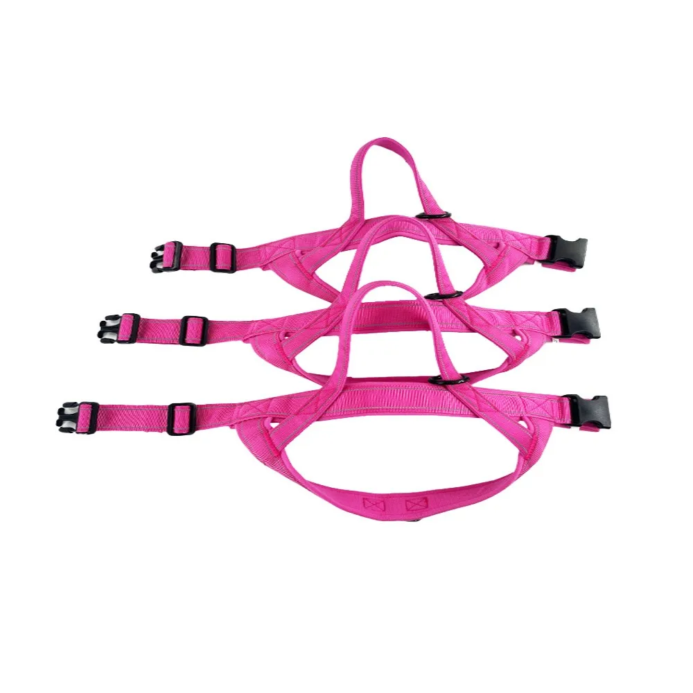 Nylon Pet Walking Harness Vest Adjustable with Reflective Strips Walking Dog Leash Vest Wear-resistant Explosion-proof