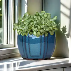 Ceramic Succulent Flower Pot Breathable Succulent Plant Pots Pot with Holes Ceramic Craft Plant Pot Planter for Home