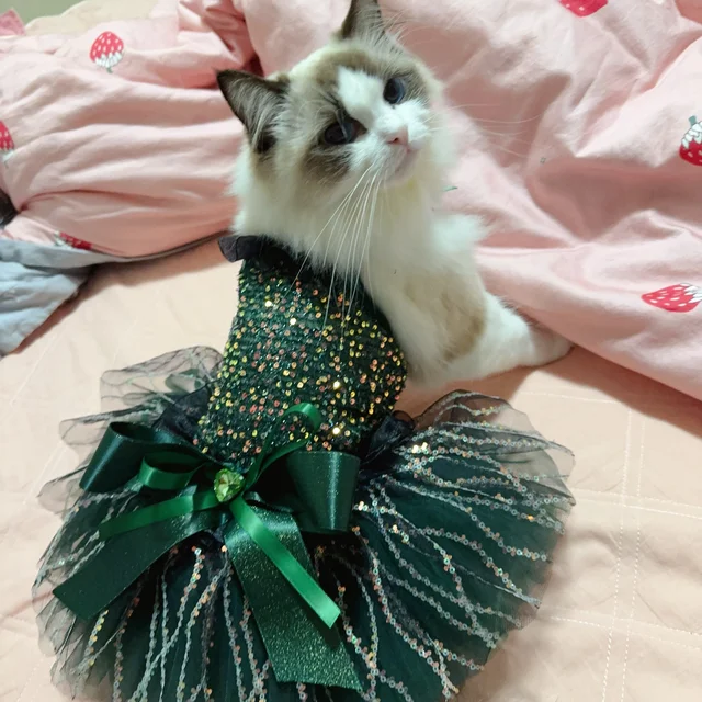 Christmas Blackish Green Red Puppy's Clothing Fashion Luxury