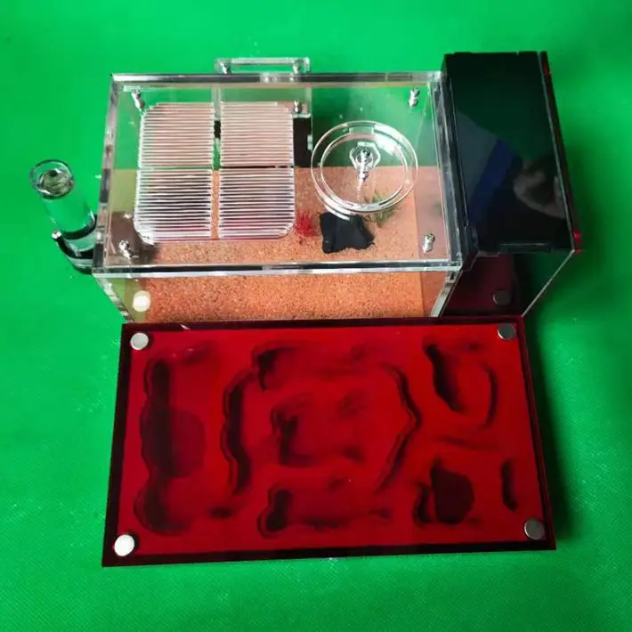 

New Design Formicarium Ant Farm Nest Ant Ecology Workshop For Ant Lovers