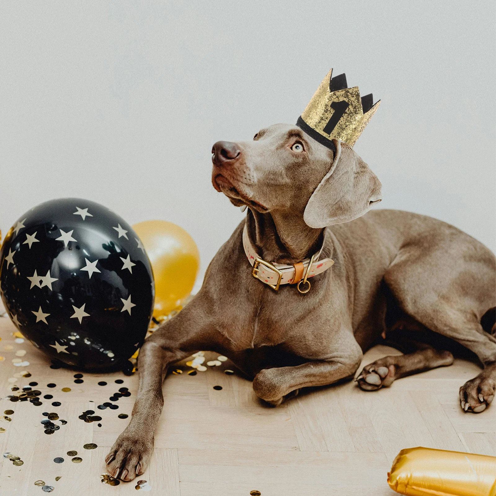 

Pet Birthday Hat 1 2 3 4 5 Numbers Crown for Small Dogs Cats Party Supplies Dog Birthday Party Decoration Accessory