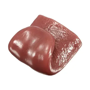 10 best sales 장난 선물 - №4