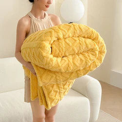 1pc Solid Color Blankets for Sofa Coral Fleece Blanket for Beds Soft Warm Bedspread for Winter Single/Queen/King Plaids/Blankets