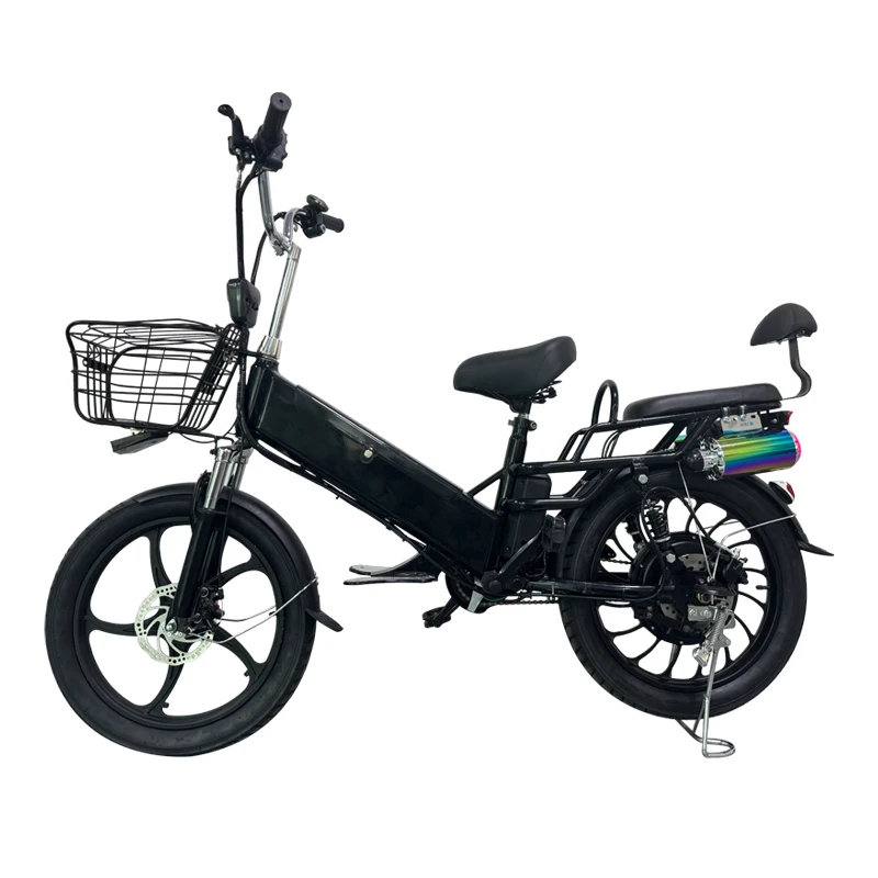 Factory,20 Inch Household Electric Bike,350W Bluetooth Speaker E-bike,48V Lithium Battery Excursion Electric Bicycle,OEM