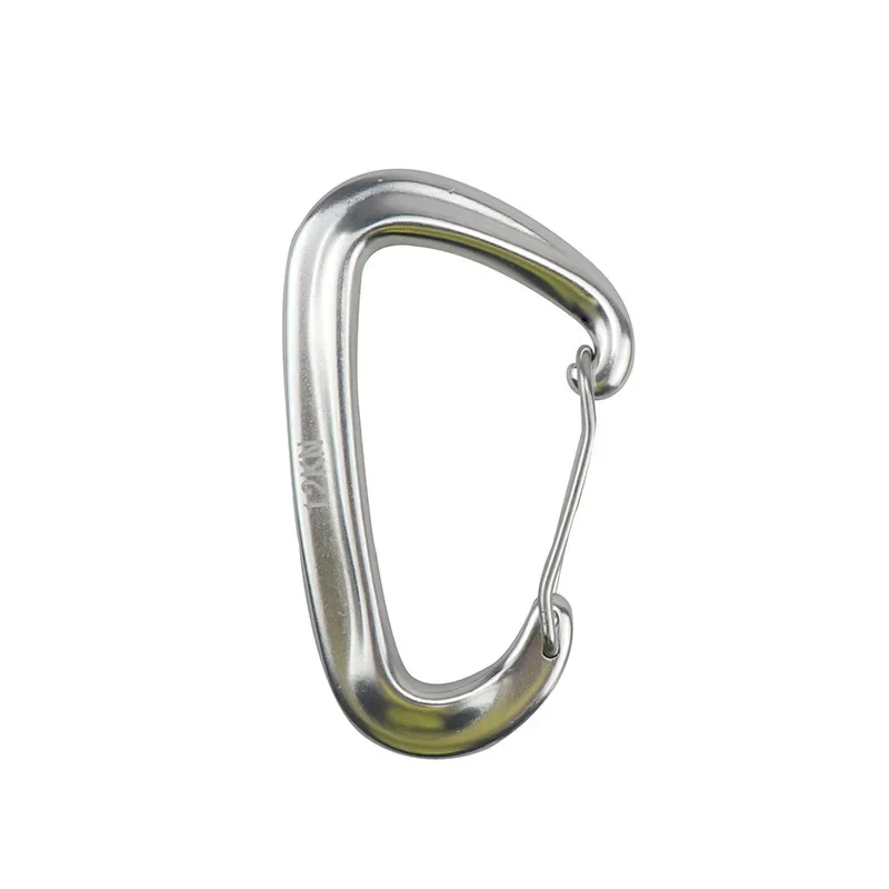 Professional Climbing Carabiner D Shape Mountaineering Buckle Hook 12KN Safety Lock Outdoor Climbing Equipment Accessory