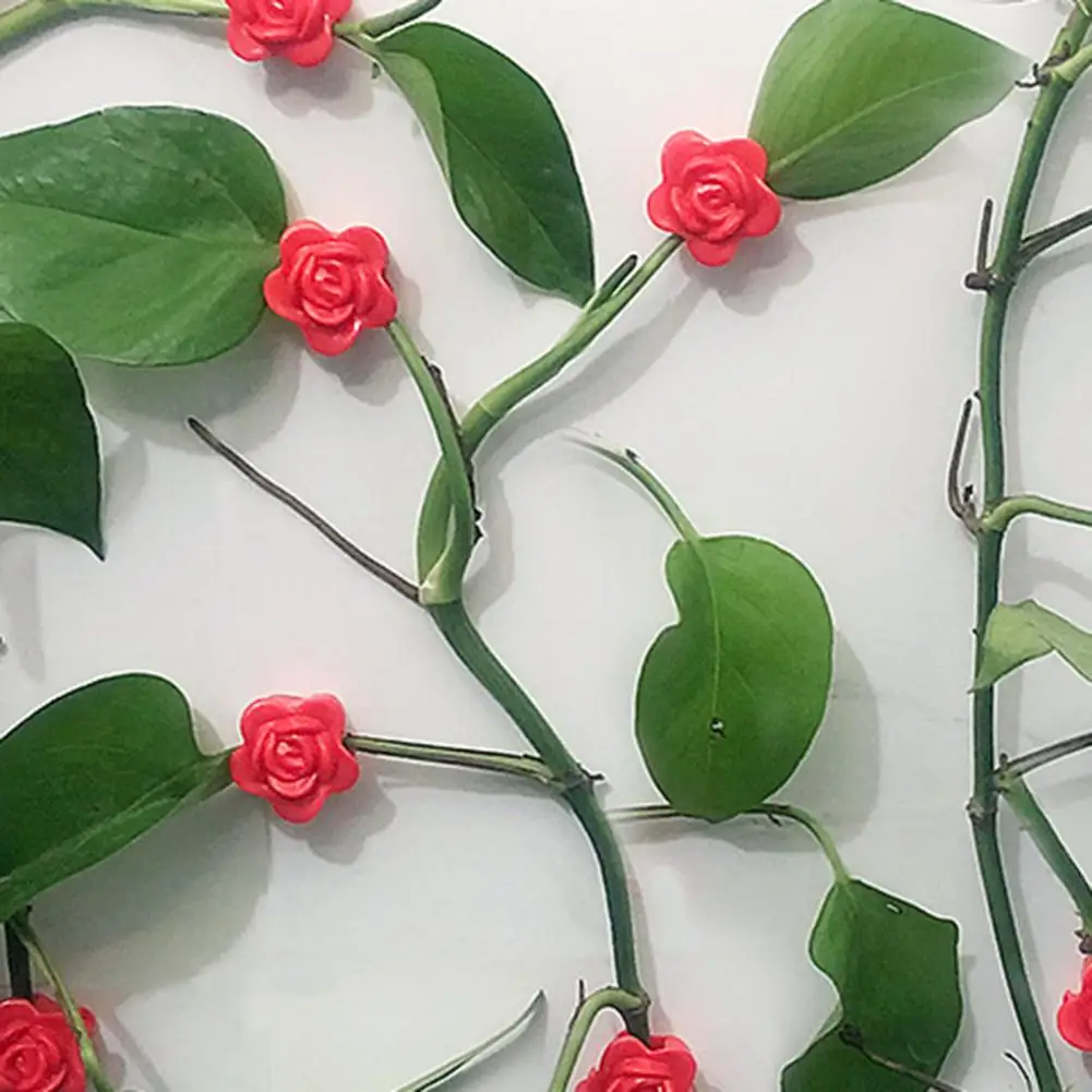 

Plant Wall Fixture Clip Self-adhesive Rose Plant Climbing Wall Fixture Clip Set 20pcs Vine Fixing Hooks for Wall for Climbing