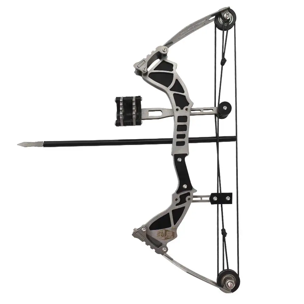 Stainless Steel Mini Compound Bow Big Power Pulley Bow Outdoor Shooting Bow and Arrow Toy Package