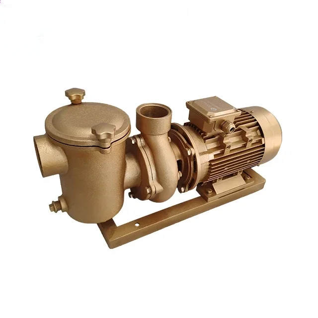 3/5/7.5/10/15/ HP 380V pool circulating water pump for commerical pool Brass swimming pool pump