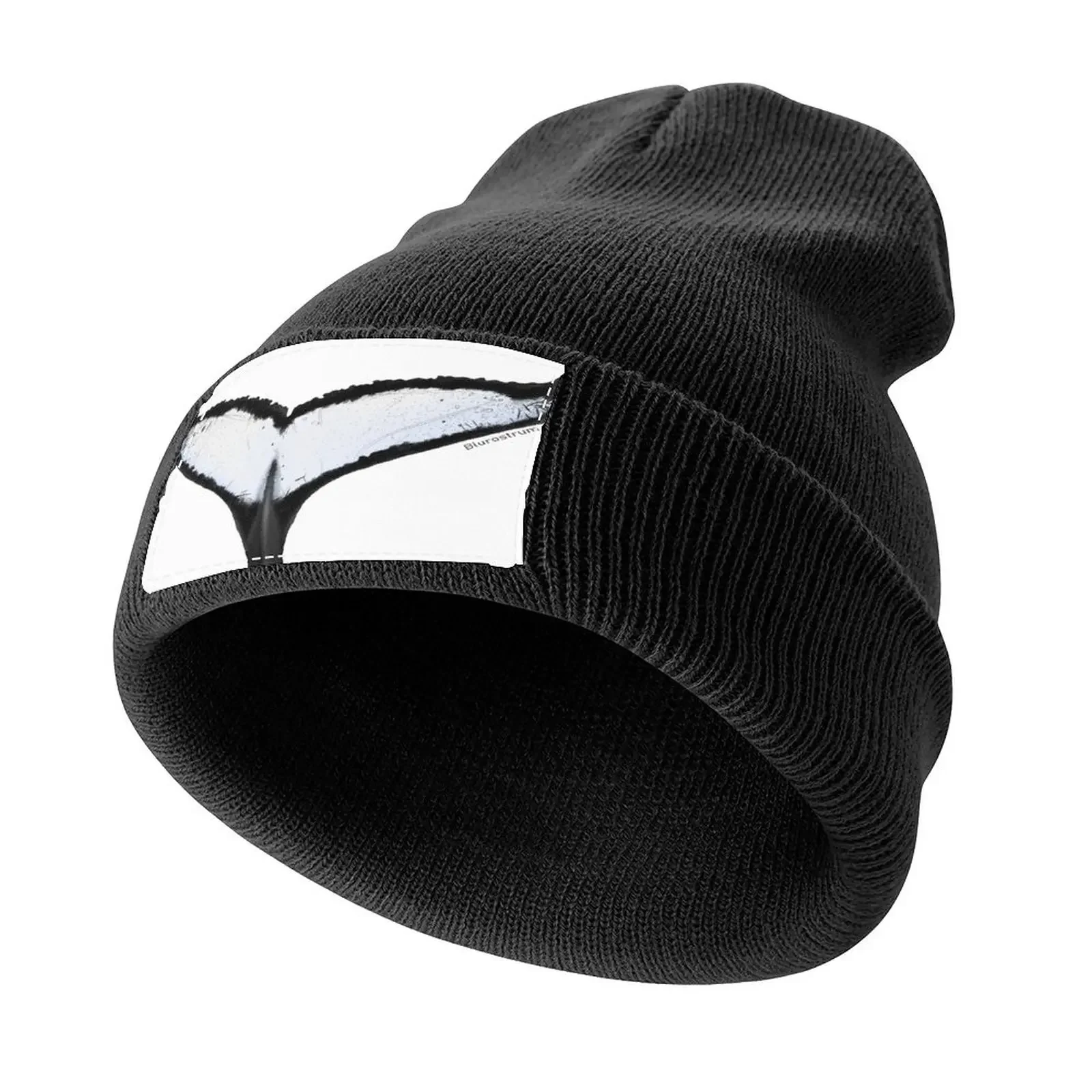 Humpback tail #2 Knitted Cap Military Cap Man Hat Baseball Cap Luxury Hats For Women Men's