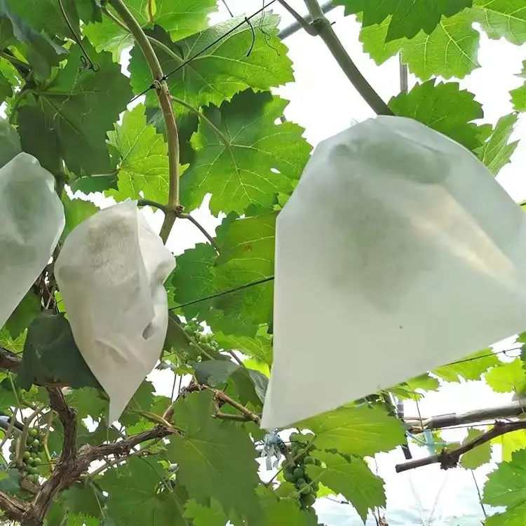 50Pcs Garden Fruit Protection Bags For Grapes Mesh Bags Against Insect Pest Bird Proof Drawstring Plant Net Bags view 5