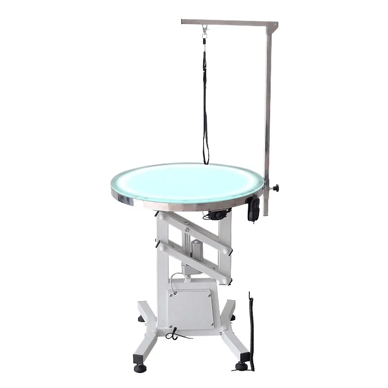 

PET Portable Desktop 360° Rotating Steel Custom Pet Electric Lift Grooming Table with Light Dog Grooming Table
