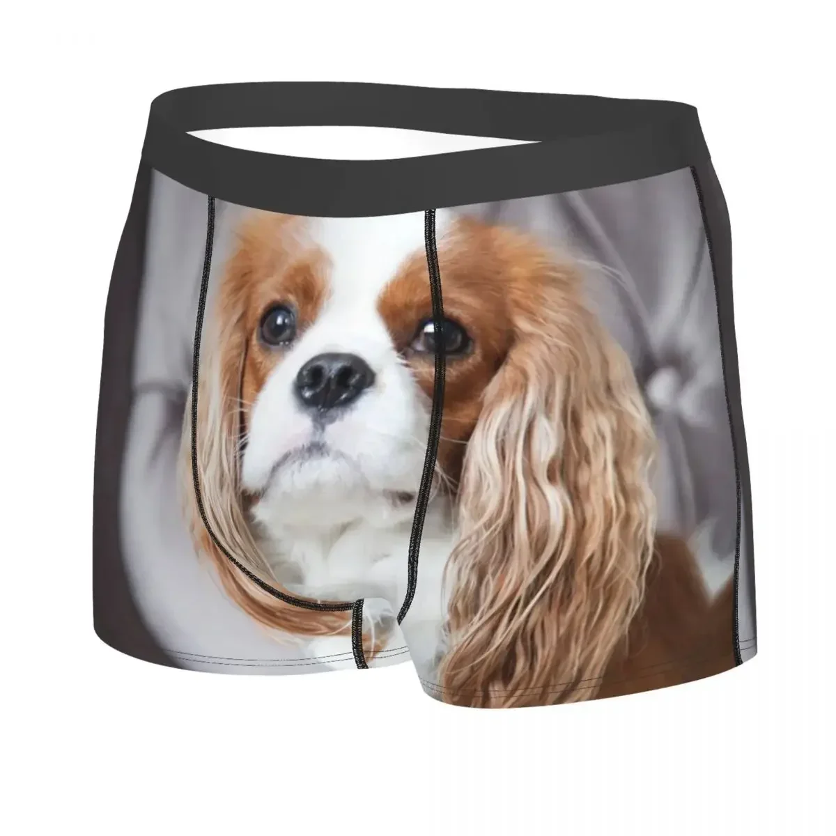 Custom Male Fashion Cavalier King Spaniel Underwear Dog Boxer Briefs Soft Shorts Panties Underpants