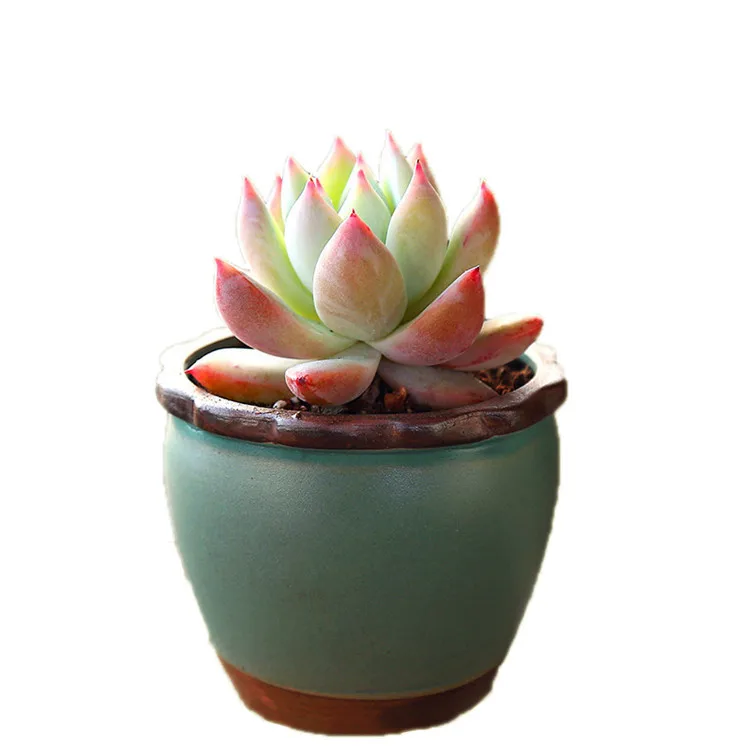 Succulent Flower Pot Ceramic Gardening Ceramic Mini New Product Creative Crude Pottery Retro Home New Porcelain Pot Basin