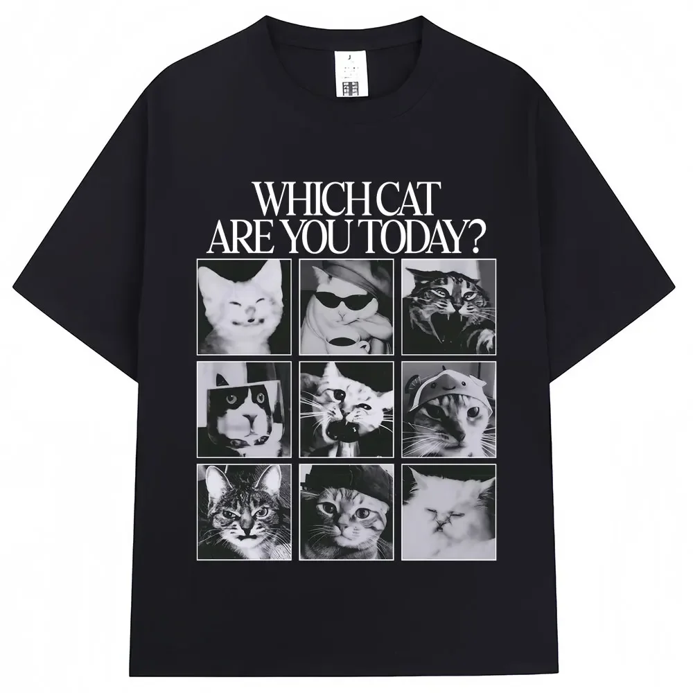 Funny Cat Meme Graphic T-Shirt, Which Cat Are You Today Vintage Loose Casual Streetwear Short Sleeve Tee For Men Women