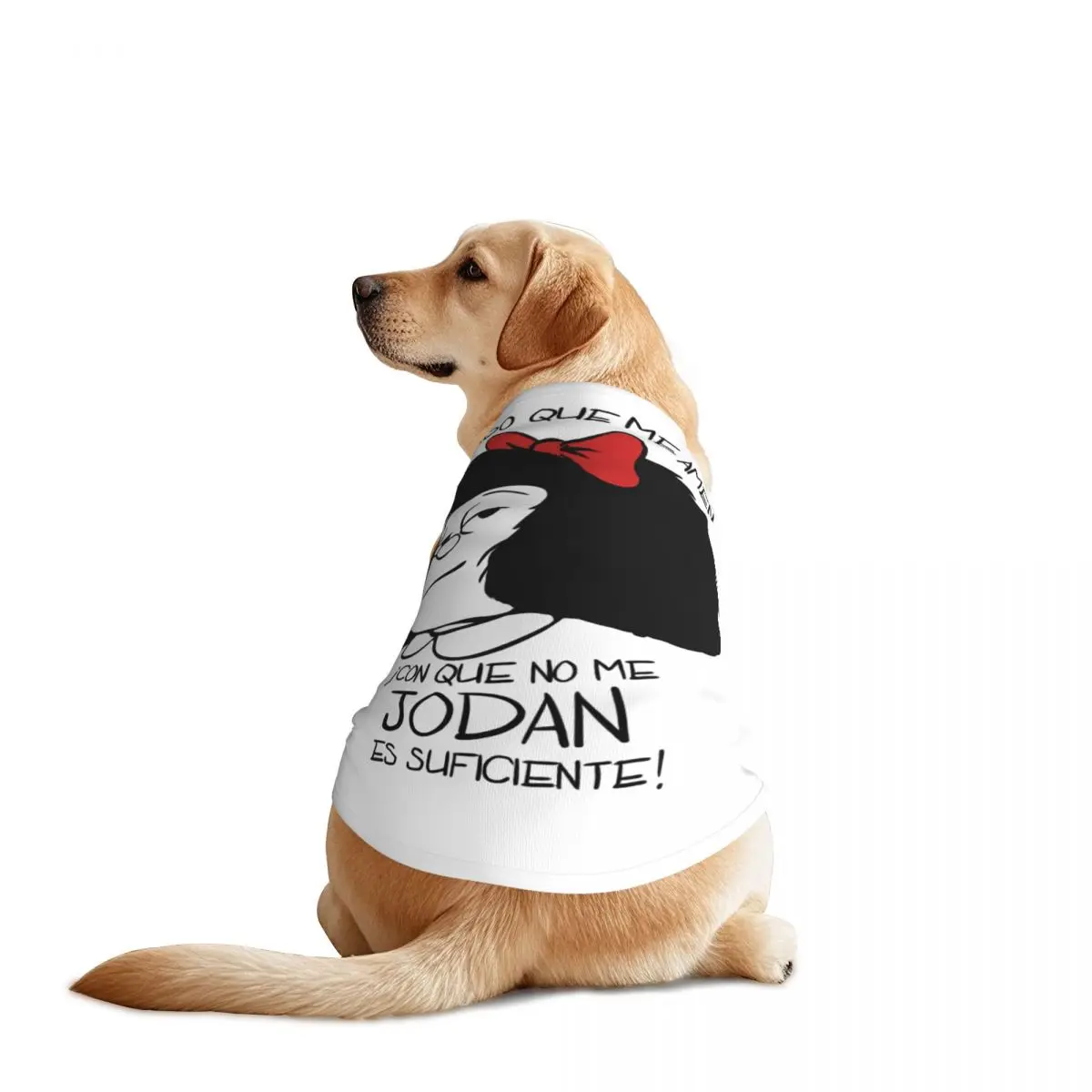 Mafalda Argentine C… - image