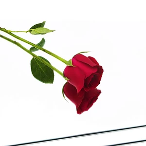 6 Main Sales Mirror Flexible Sticker - №3