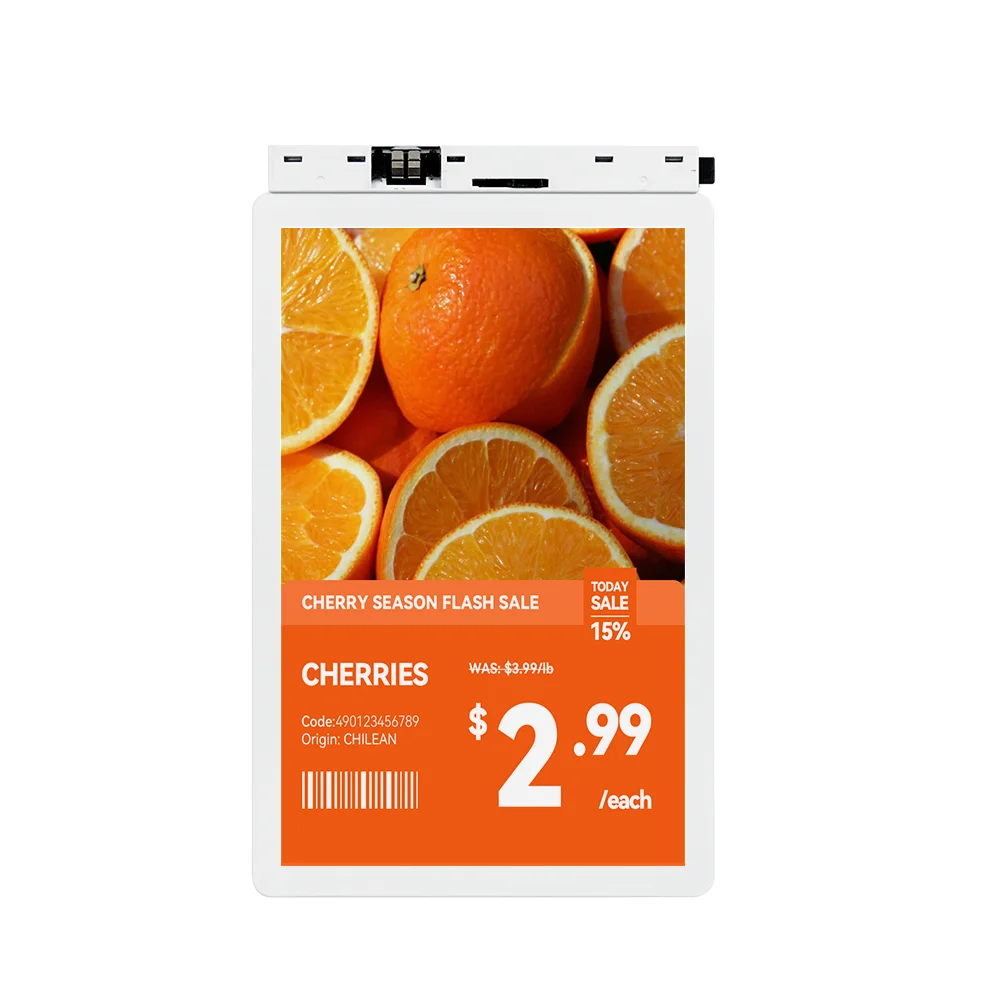 10.1inch Full Color LCD Electronic Shelf Label Single Screen Digital Price Tag Display For Supermarket Product Price Management