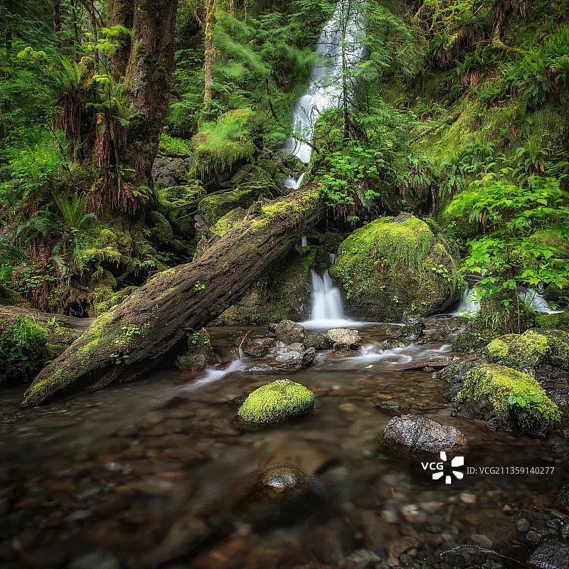 RunCam Robin 3 1200TVL FPV 카메라 DC 5-23V 화면 비율 4:3 5.3g 19*19*19mm RC FPV 레이싱 드론 쿼드콥터 모델용