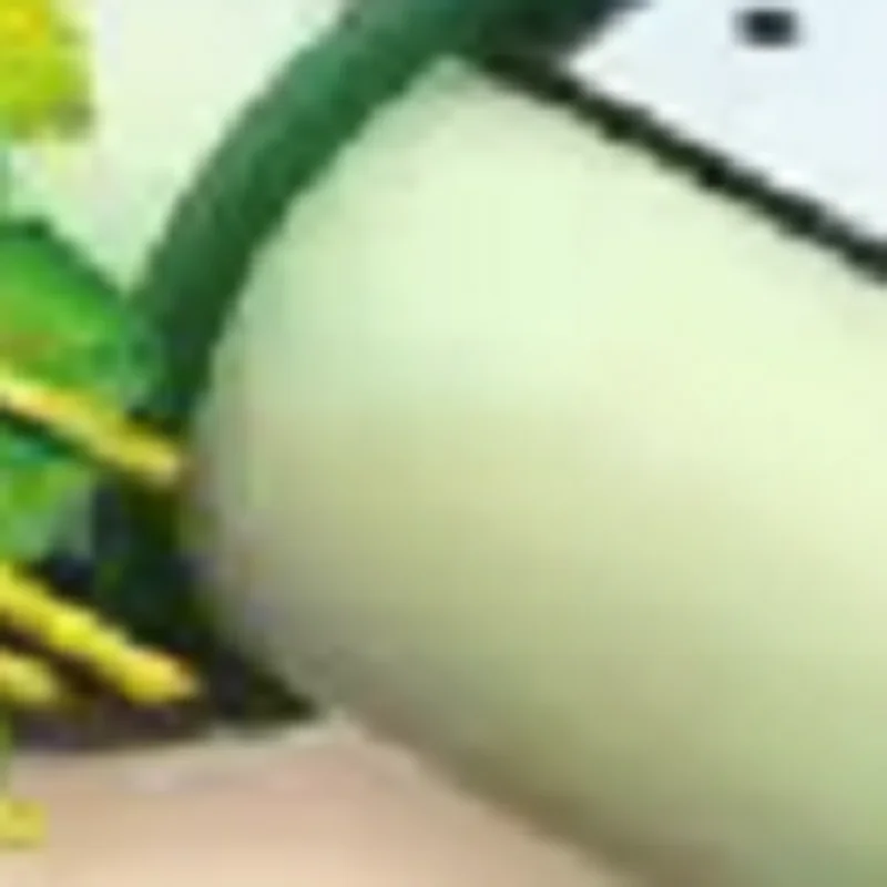 

Automatic Meat Skewer Machine Toothpick Beef Skewer Threading Machine Suitable For Barbecue Shops