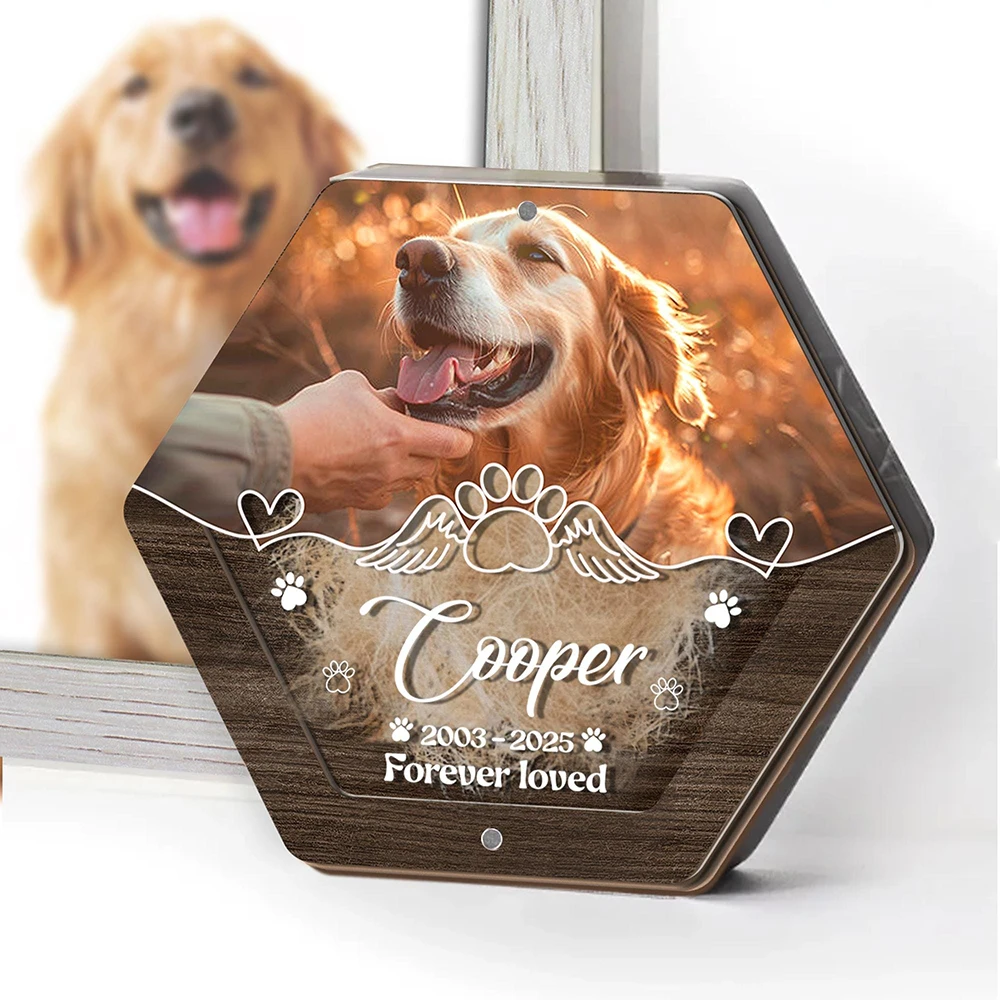 Personalized Name Wooden Carving Pet Hair Storage Box Pet Supplies Custom Dog Save Teeth Memorial Boxes Pet Lost Memorial Gifts
