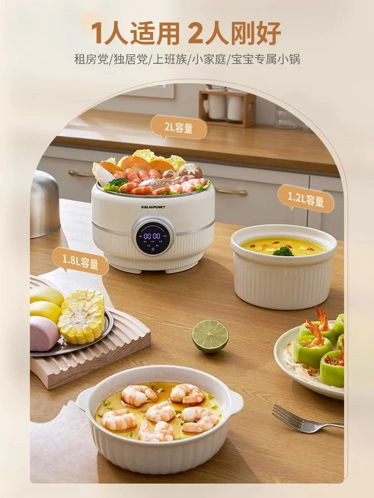 220V Blaupunkt Mult… - image