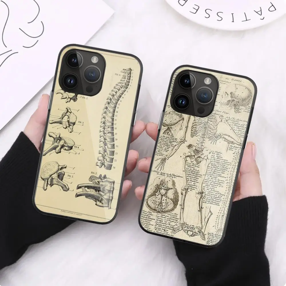 

The Art of Anatomy Phone Case For iPhone 15 Pro Max14 13 12 Mini 11 XR XS 8 7 Plus Black Art Glass Cases