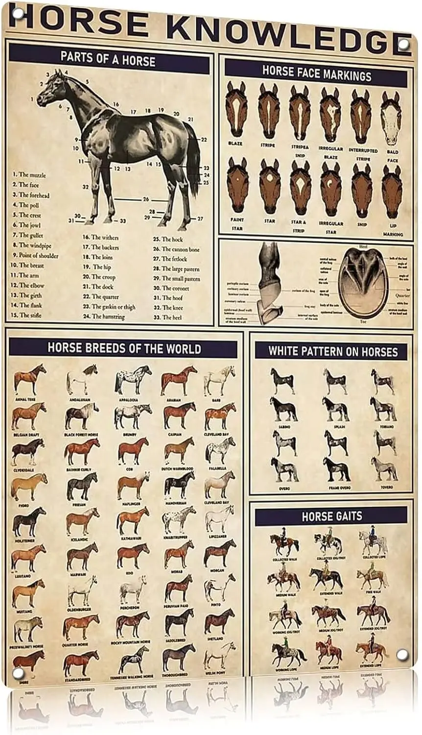 Panneau Métallique Rétro sur le Thème de la Connaissance, Panneaux de Cuisine Vintage, Décoration Murale, Décoration Intérieure, Panneaux en Tôle sur le Thème des Espèces de Chevaux, Décorations de Bar, Art