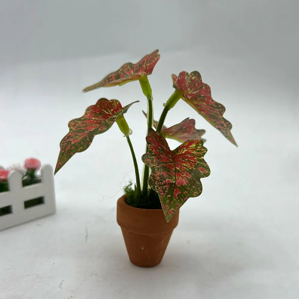 

1:12 Dollhouse Miniature Plant Plastic 5 Styles Colorful Taro Green Plant Mini Simulation Green Plants