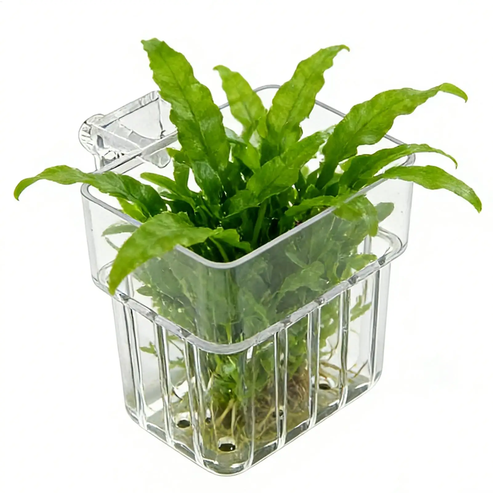 Thumbnail 2 - #33 Discounted Decorative Aquarium Plants Worth Buying