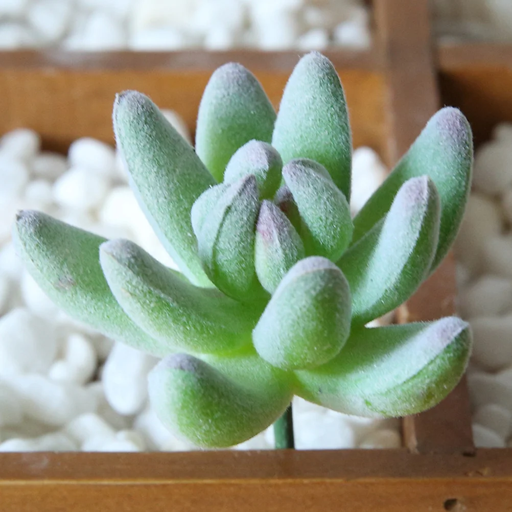 

8Pcs Fake Succulent Plant Decor Realistic Artificial Succulents Suitable for Room Cabinet Bookshelf DIY Floral Arrangement