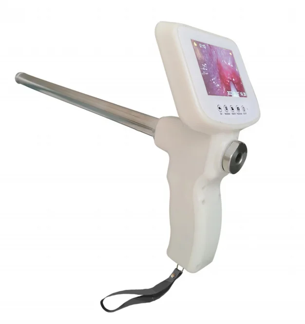 Peralatan inseminasi buatan sapi dan domba/Inseminasi hewan ternak sapi