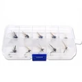 10pcs in box