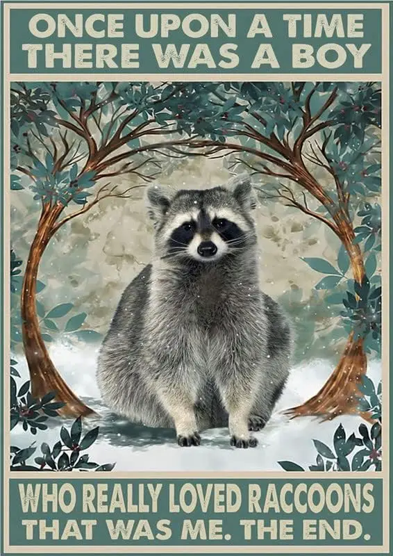 Vintage Once Upon A Time There was A Boy Who Really Loved Raccoons Poster Metal Aluminium Tin Sign  Wall Decor-Aluminum