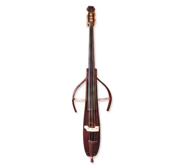 

Electric Double Bass, Wood Double Bass, Plywood Double Bass