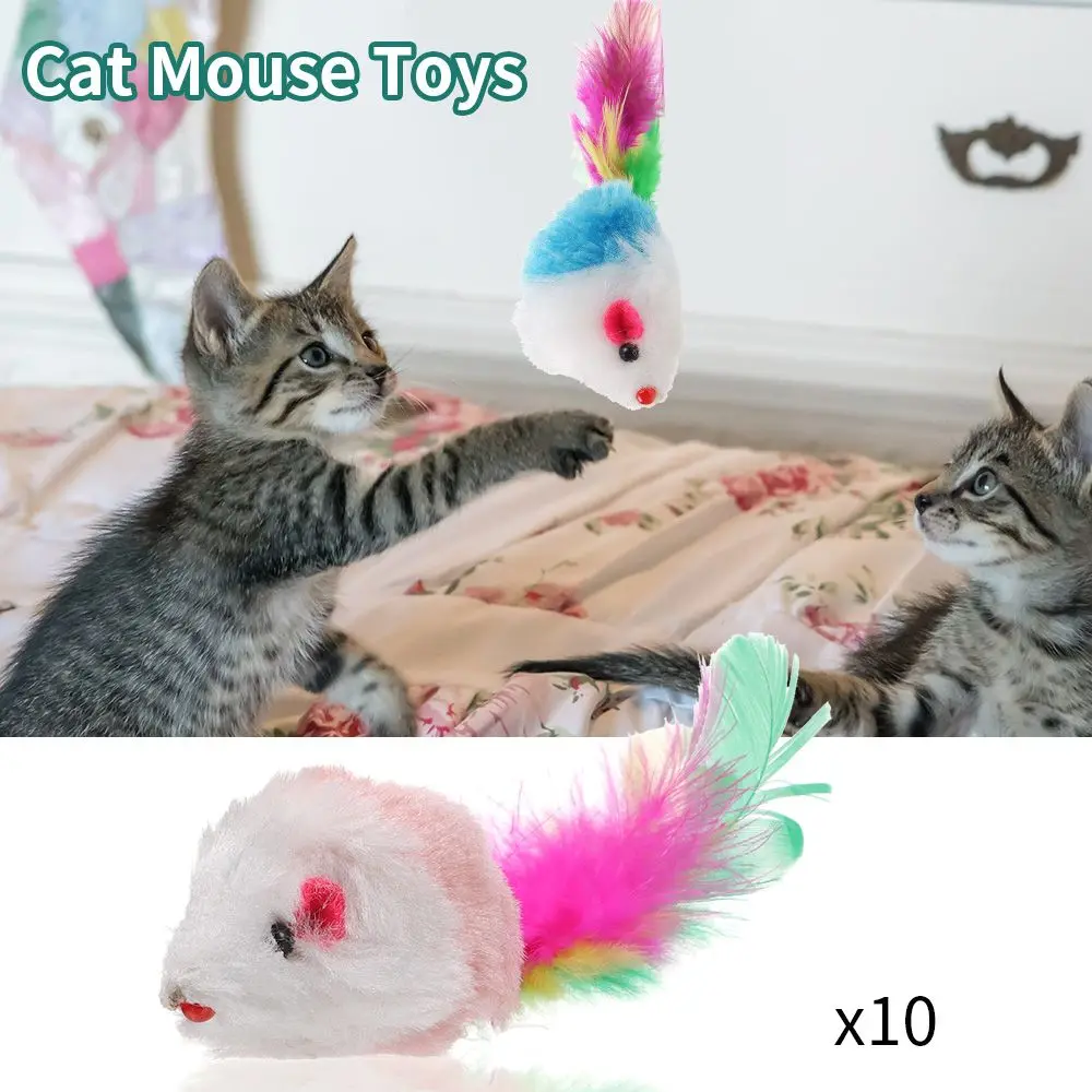 10Pcs Practical Gift Feather Tail Mice Rattle Set Interactive Cat Toy Kittens Cat Mouse