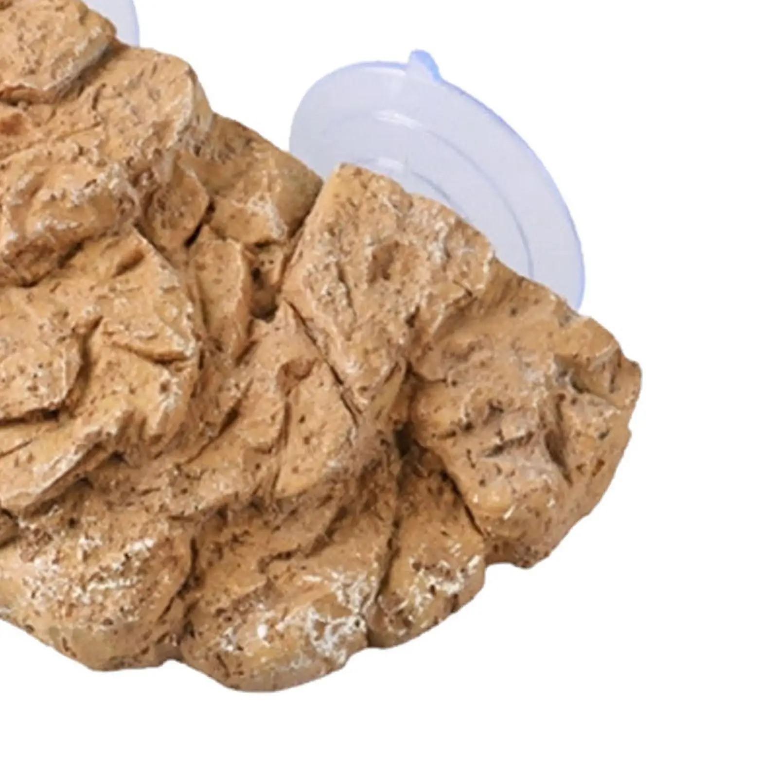 منصة تشمس السلحفاة، شرفة استراحة عائمة للضفدع Terrapin Iguanas قاعدة مسند السلحفاة للمناظر الطبيعية، ديكور حوض السمك #5