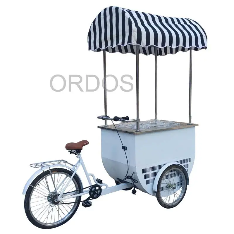 Ice cream cart with bicycle Electric Mobile Bar Truck Street bicycle food cart 3 three wheels mobile vending cart