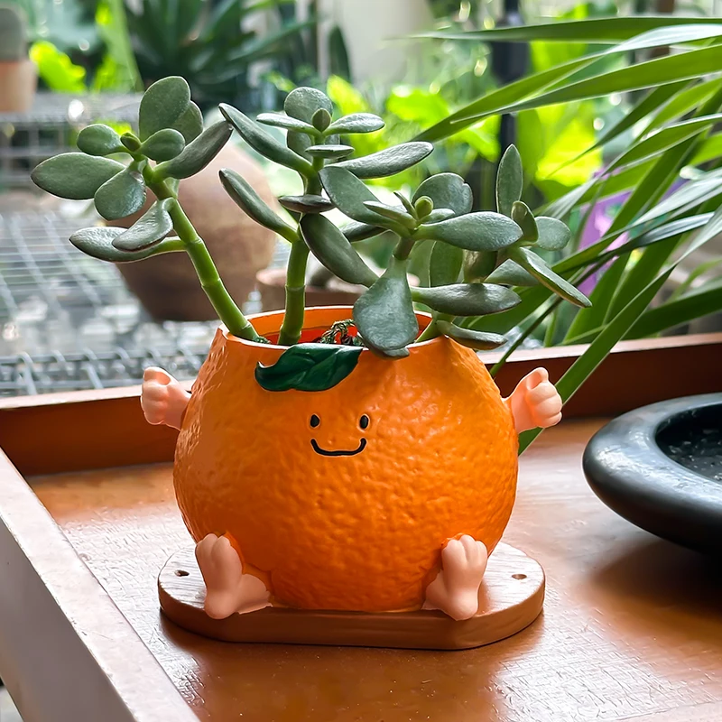 الإبداعية لطيف الوجه المبتسم البرتقالي الجلوس الموقف زهور عصارية في الهواء الطلق حديقة فناء زهرة بوعاء الديكور