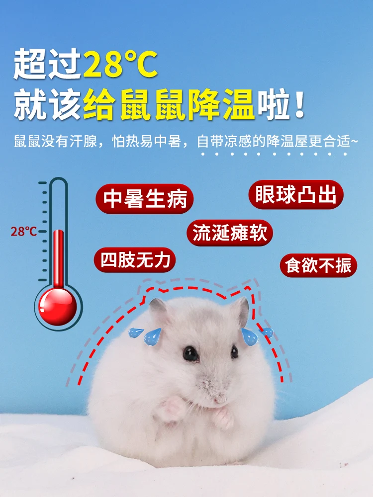 Hamster Summer Air Conditioning Nest Small Pet House Large Escape Gold Bear Honey Bag Glider Cooling Ice Cage